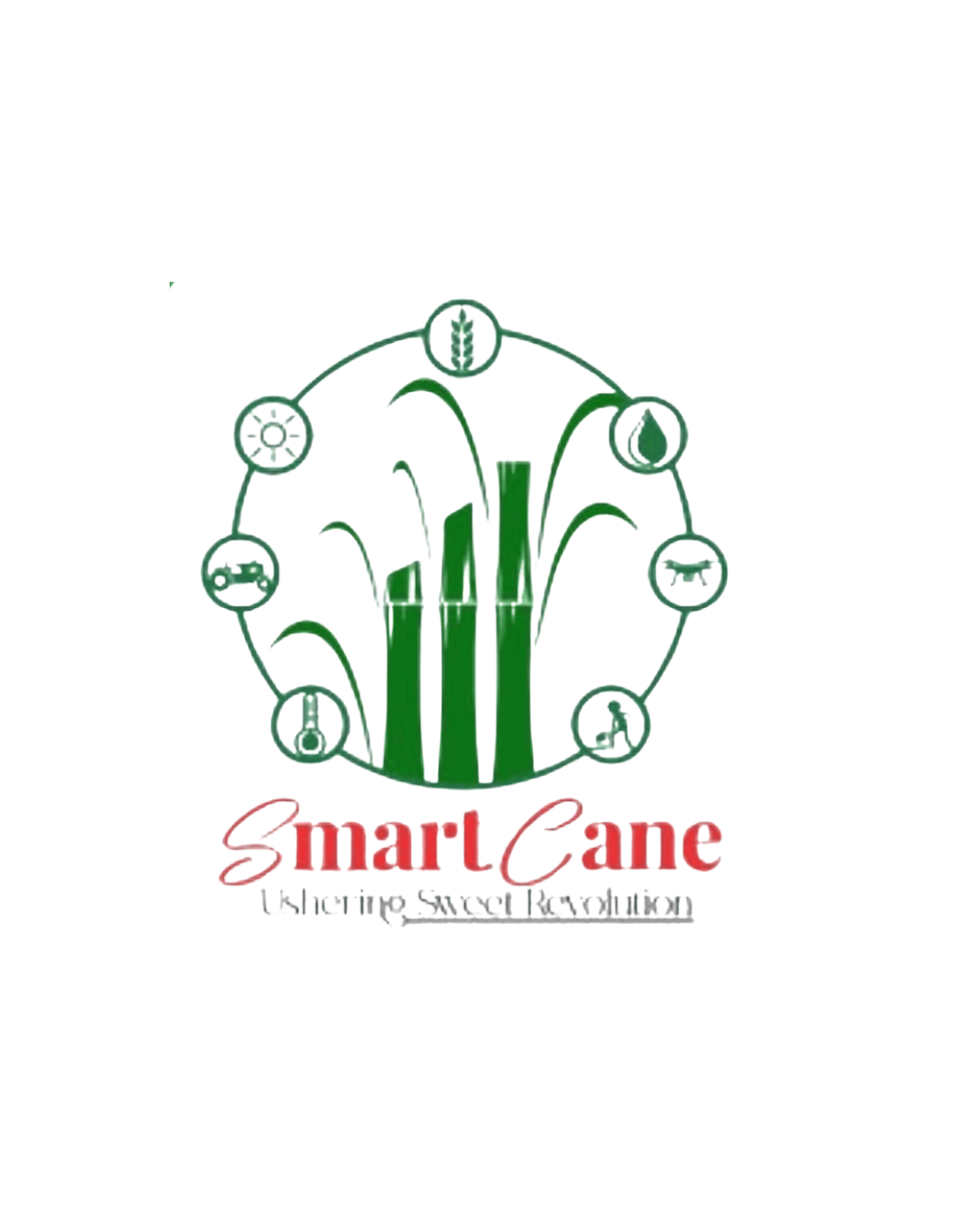 smartcane.in